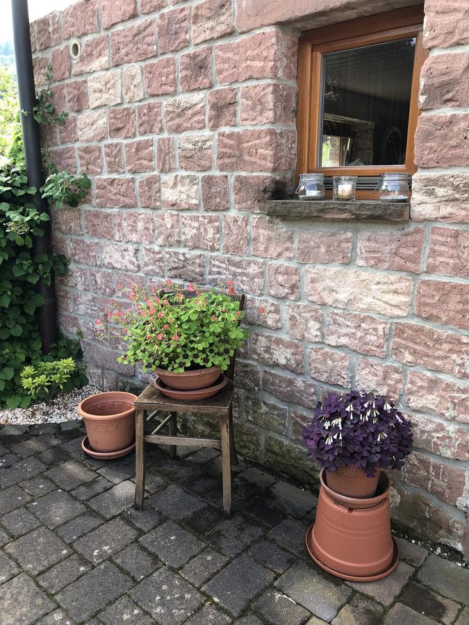 Ferienhaus Werkhof Schönau Exterior foto